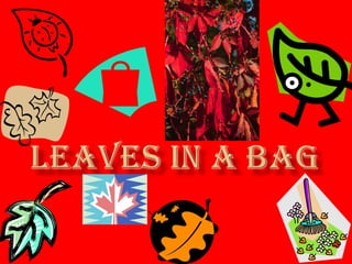 leaves in a bag 