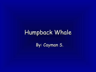 Humpback Whale By: Cayman S. 