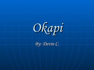 Okapi By: Devin C. 