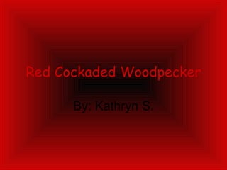 Red Cockaded Woodpecker By: Kathryn S. 