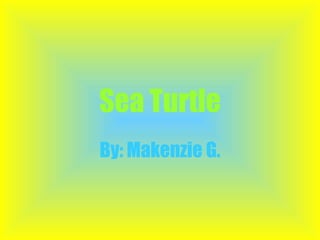 Sea Turtle By: Makenzie G. 