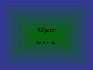 Alligator   By: Nick M.   