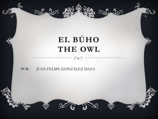 EL BÚHO
THE OWL
POR : JUAN FELIPE GONZALEZ DAZA
 