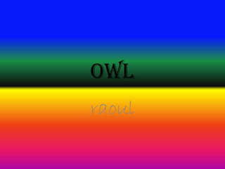 owl
raoul
 