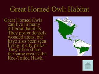 Great Horned Owl: Habitat Great Horned Owls can live in many different habitats. They prefer densely wooded areas, but have also been seen living in city parks. They often share the same area as the Red-Tailed Hawk. 