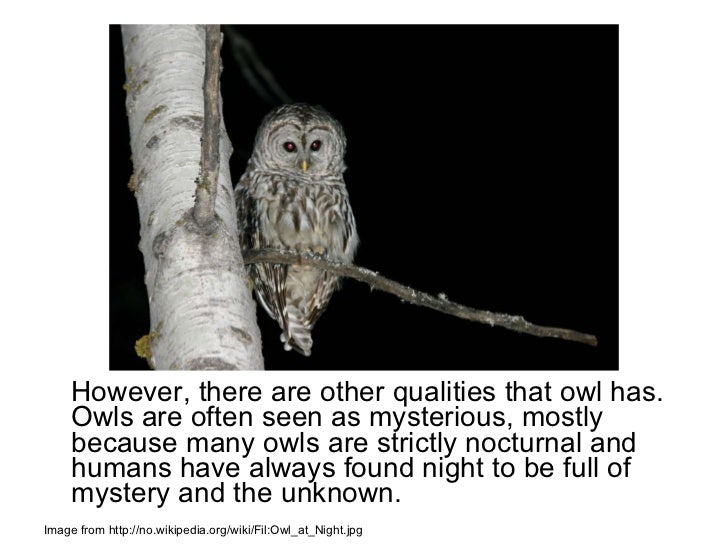 Owl symbolism