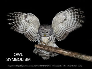 OWL SYMBOLISM Image from  http://blogs.crikey.com.au/northern/2010/12/13/bird-of-the-week-the-killer-owls-of-durham-county 