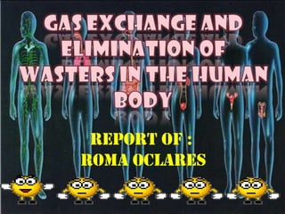 Report of :
Roma Oclares
 