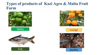 Types of products of Kazi Agro & Malta Fruit
Farm
Malta orange
Fish poultry
 