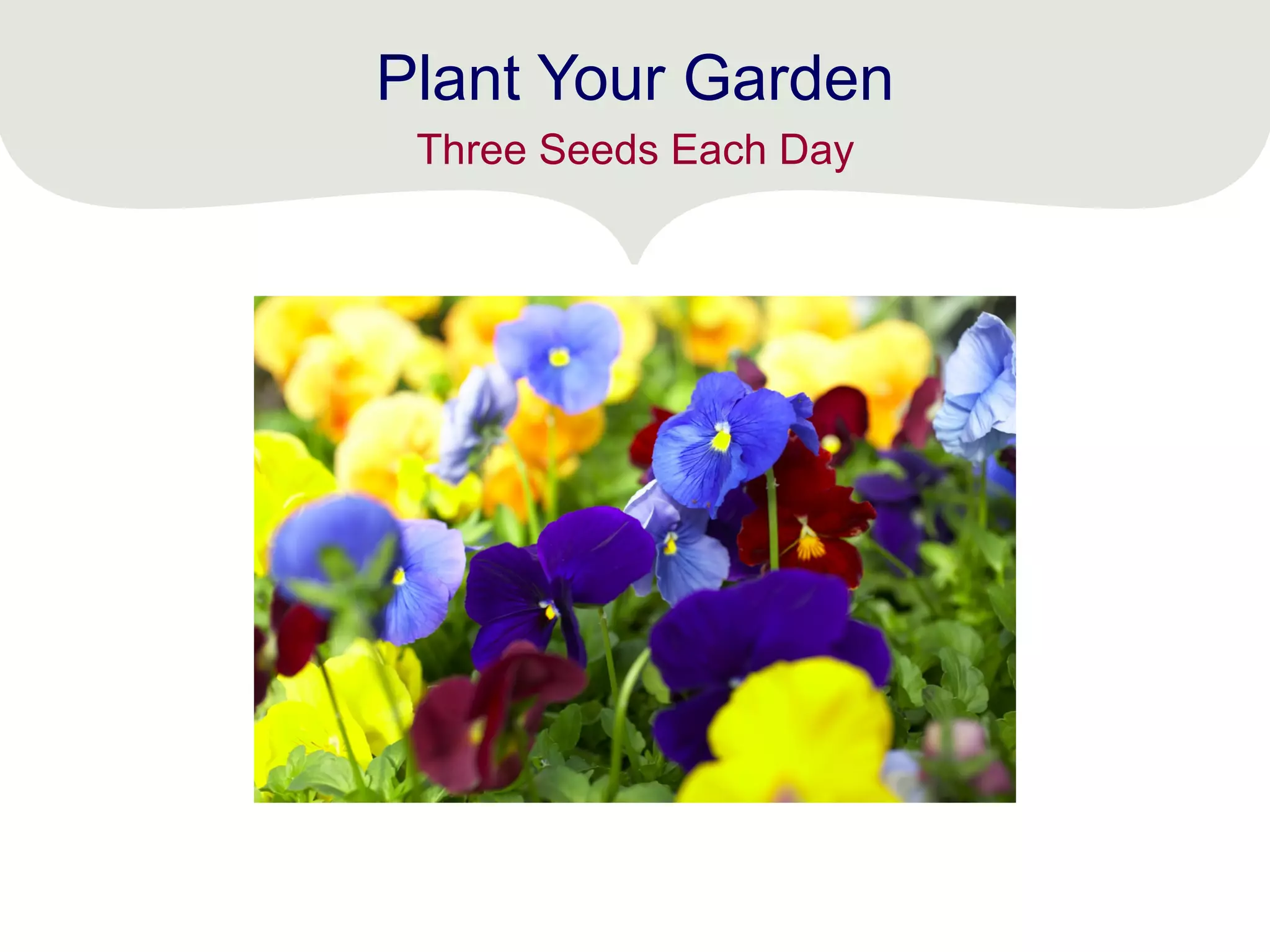 Plant Your Garden
Three Seeds Each Day
 