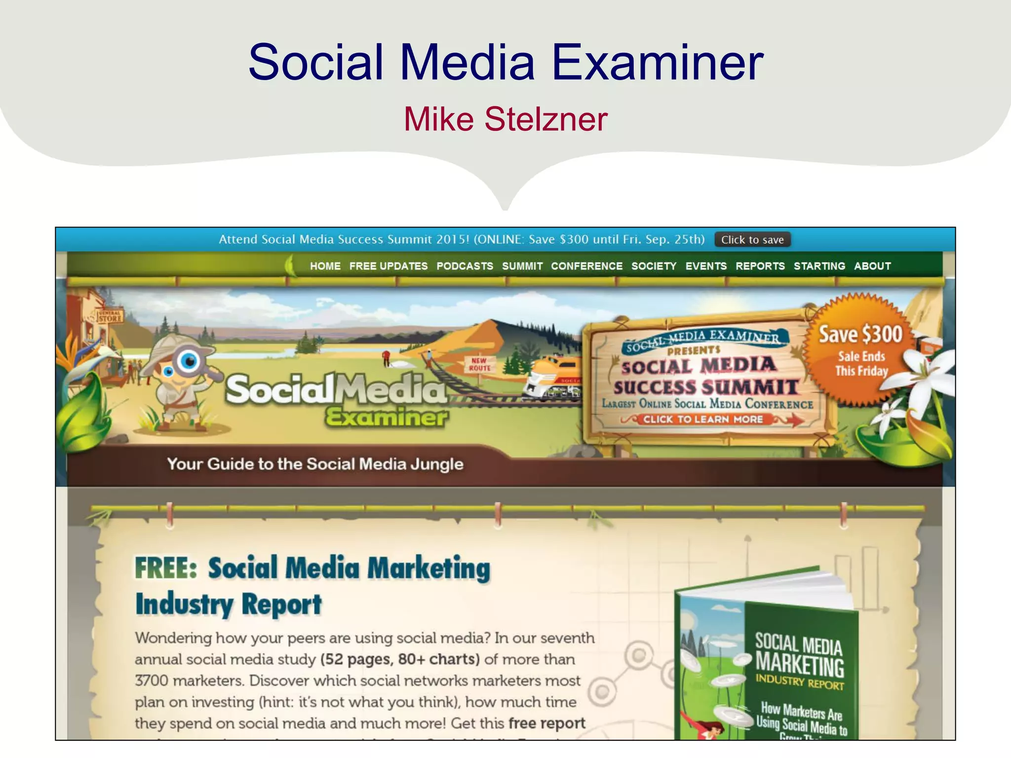 Social Media Examiner
Mike Stelzner
 