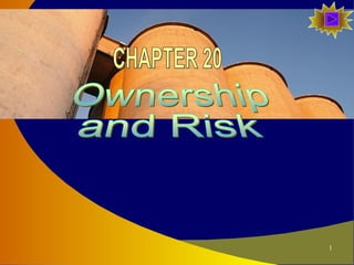 Ownership and Risk CHAPTER 20 