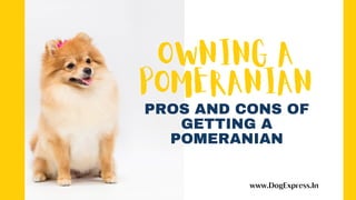 OWNING A
POMERANIAN
www.DogExpress.In
PROS AND CONS OF
GETTING A
POMERANIAN
 