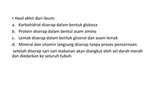 • Hasil akhir dari ileum:
a. Karbohidrat diserap dalam bentuk glukosa
b. Protein diserap dalam bentul asam amino
c. Lemak diserap dalam bentuk gliserol dan asam lemak
d. Mineral dan vitamin langsung diserap tanpa proses pencernaan.
setelah diserap sari-sari makanan akan diangkut oleh sel darah merah
dan diedarkan ke seluruh tubuh.
 