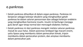 e.pankreas
• Getah pankreas dihasilkan di dalam organ pankreas. Pankreas ini
berperan sebagai kelenjar eksokrin yang menghasilkan getah
pankreas ke dalam saluran pencernaan dan sebagai kelenjar endokrin
yang menghasilkan hormone insulin. Insulin ini berfungsi menjaga
gula darah agar tetap normal dan mencegah diabetes melitus.
• Getah pankreas ini dari pankreas mengalir melalui saluran pankreas
masuk ke usus halus. Dalam pancreas terdapat tiga macam enzim,
yaitu lipase yang membantu dalam pemecahan lemak, tripsin
membantu dalam pemecahan protein, dan amylase membantu
dalam pemecahan pati.
 