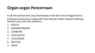 Organ-organ Pencernaan
A.saluran pencernaan yang memanjang mulai dari mulut hingga ke anus
B.kelenjar pencernaan yang terdiri atas kelenjar ludah, kelenjar lambung,
kelenjar usus, hati, dan pankreas.
1. MULUT
2. KERONGKONGAN
3. LAMBUNG
4. USUS HALUS
5. USUS BESAR
6. RECTUM
7. ANUS
 