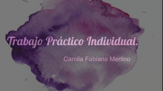 Trabajo Práctico Individual.
Camila Fabiana Merlino
 