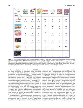 Very recently, Yu et al. have shown that WJ-MSCs are
not good alternatives for periodontal tissue generation
compared with PDL-MSCs which have a much better osteo/
dentinogenic differentiation potential.12,14
Various studies
have demonstrated the capacity of WJ-MSCs to differentiate
into pancreatic islet-like cells.46–48
Kim et al. have compared
this potential with other sources of MSCs and did not show
signiﬁcant differences between BM-MSCs and AT-MSCs.46
Some authors have focused on the application of MSCs in
vascular engineering and more particularly their capacity to
differentiate into EC, or to acquire pericyte markers when
co-culturing with EC. Chen et al. were pioneers in studying
the endothelial differentiation potential of BM-MSCs and
WJ-MSCs. Both sources of MSCs were able to differentiate
into EC but WJ-MSCs appear to have a greater differenti-
ation potential, as derived EC-like exhibited a higher ex-
pression of endothelial markers.5
For a long time, it has been considered that the regen-
erative potential of MSCs is due to their plasticity and
differentiation capacity. However, the direct link between
their differentiation potential and their beneﬁcial effects has
never been proved. Indeed, recent studies suggest that the
beneﬁts of MSCs transplantation may be associated to a
paracrine modulatory effect rather than the replacement of
affected cells, at the site of injury, by differentiated stem
cells.49,50
Emerging data suggest that stem cells could be
then considered as a reservoir of trophic factors which are
released when needed to modulate and repair surrounding
damaged tissues, which leads to a paradigm shift in regen-
erative medicine. Understanding the cell secretome has at-
tracted much attention, and it has been demonstrated that
trophic factors could have many effects such as modula-
tion of inﬂammatory reactions, immunomodulation, anti-
apoptotic and pro-angiogenic capacities, and many others
(reviewed in Doorn et al.51
). Vallone et al. have highlighted
in their review the exact mechanisms that would lead MSCs
to damaged tissues after transplantation, where they will
exert their remedial actions.52
Katsuda et al. have also de-
scribed a possible therapeutic mechanism of AT-MSCs, in
Alzheimer disease, through a paracrine pathway. Vesicules
secreted by these cells could carry soluble factors that may
treat this pathology. Results of this study will be discussed
FIG. 1. Differentiation potential of WJ-MSCs compared with MSCs from other sources. This ﬁgure shows differences in the
differentiation potential of MSCs from many sources toward a speciﬁc cell type, which is indicated by+ + + , + + , + , - , and
ND corresponds to a nondetermined comparison. For example, PDL-MSCs have the greatest potential to differentiate into
chondrocytes, while DP-MSCs have the lowest differentiation potential toward this type of cells. DP, dental pulp; WJ-MSC,
Wharton’s jelly-mesenchymal stromal cell. Color images available online at www.liebertpub.com/teb
528 EL OMAR ET AL.
 