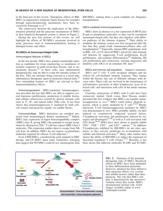 in the ﬁnal part of this review. Therapeutic effects of BM-
MSCs in regenerative medicine (heart disease for example)
through paracrine/autocrine mechanisms have been re-
viewed by Pourrajab et al.53
The controversy between the implication of the differ-
entiation potential and the paracrine mechanisms of MSCs
in their beneﬁcial therapeutic actions is shown in Figure 2.
During the next few sections of this review, we will
highlight the effects of WJ-MSCs secretome involved in
many processes such as immunomodulation, homing to
damaged tissues and others.
WJ-MSCs as Immunoprivileged Cells
Immunological features of MSCs
In the last decade, MSCs have gained considerable atten-
tion as candidates for tissue engineering, as modulators of
immune responses in graft-versus-host disease, and as au-
toimmune diseases,54
as these cells, once administered
therapeutically, may be able to evade the immune system of
the host. They are currently being assessed as a novel anti-
inﬂammatory therapeutic agent in numerous clinical trials.55
Two outstanding features of MSCs are relevant to their
immunomodulatory effects:
Immunosuppression. MSCs-mediated immunosuppres-
sion describes the fact that MSCs are able to suppress sev-
eral functions (proliferation, production of soluble factors,
and cellular cytotoxicity) exerted by diverse immune cells
such as T-, B-, and natural killer (NK) cells. It has been
shown that immunosuppression is mediated by both cell–
cell contact and paracrine signals via soluble factors.
Immunoprivilege. MSCs themselves are somehow pro-
tected from immunological defense mechanisms.56
Indeed,
MSCs lack expression of major histocompatibility complex
(MHC) class II, giving MSCs the potential to escape recog-
nition by alloreactive CD4+
T cells but express MHC Class I
molecules. This expression enables them to escape from NK
cell lysis, In addition, MSCs do not express co-stimulatory
molecules required for effector T-cell induction.57
Even if BM-MSCs, considered the gold standard in MSC
therapy, and UC-MSCs share many similarities, emerging
data suggest that WJ-MSCs could be less immunogenic than
BM-MSCs, making them a good candidate for allogeneic
transplantation.
MSCs-mediated immunosuppression
MSCs show an absence or a low expression of MCH class
II and co-stimulatory molecules, so they can be considered
immunoprivileged cells, but they also interfere with differ-
ent pathways of the immune response.58
Their ability to
modulate the immune system was ﬁrst recognized after the
fact that they could evade immunosurveillance after cell
transplantation.59
Especially, human MSC populations such
as BM-, AT-, or UC-derived MSCs selectively alter immune
cell function by suppressing T-cell proliferation, B-cell
proliferation, and terminal differentiation,60
inhibiting NK
cell proliferation and cytotoxicity, steering monocytes and
dendritic cells (DCs) to an immature DC state.61
MSCs and immune cell population. Adaptive immunity:
MSCs and T cells: T cells recognize antigens and are
critical for cell-mediated immune response. They mature
within the thymus into one of different subtypes with di-
verse roles. These cells are involved in the maintenance of
self-tolerance, activation of other lymphocytes, lysis of in-
fected cells, and interaction with cells of the innate immune
system.
Currently, interactions of MSCs with T cells have been
extensively studied. Graft versus Host Disease models
presented the ﬁrst evidence that MSCs can regulate immu-
nosuppression in vivo.62
MSCs could reduce allograft re-
jection, which is partly mediated by T cells.63,64
Shortly
afterward, T-cell immunosuppression mediated by MSCs
was demonstrated in vitro. MSCs probably inhibit, via their
induced or constitutively expressed secreted factors,
T-lymphocyte activation and proliferation induced by mi-
togens and alloantigens65–68
as well as T-cell activation with
CD3 beads.66,69
MSCs have been shown to equally inhibit
CD4+
, CD8+
, CD2+
, and CD3+
subsets.70
In addition,
T-lymphocytes inhibited by BM-MSCs do not enter apo-
ptosis, as they actively proliferate on re-stimulation with
cellular and humoral activators.65
Many other studies have
shown the ability of BM-MSCs to induce the expansion of
functional regulatory T cells (Tregs).70,71
Recently, it has
been shown that adhesion molecules ICAM1 and VCAM1,
FIG. 2. Summary of the potential
therapeutic roles of MSCs. Beneﬁcial
effects of MSCs have been attributed
to their differentiation potentials.
However, attention has been shifted to
their paracrine effects (via vesicles
and soluble factors) rather than their
plasticity. The role that MSCs will
play is determined by the microenvi-
ronment where they reside. MSCs,
mesenchymal stromal cells. Color
images available online at www
.liebertpub.com/teb
IN SEARCH OF A NEW SOURCE OF MESENCHYMAL STEM CELLS 529
 