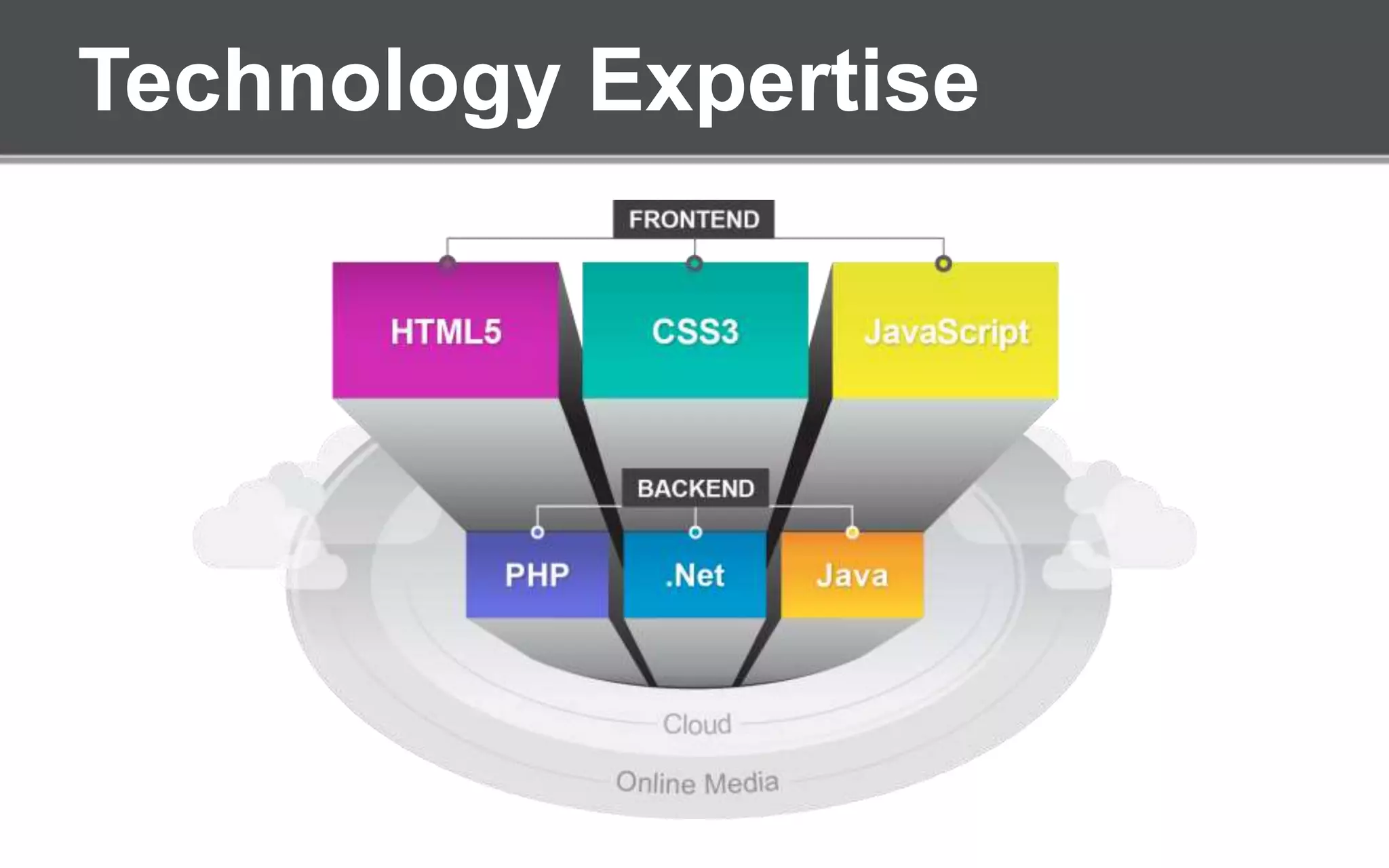 Technology Expertise
 