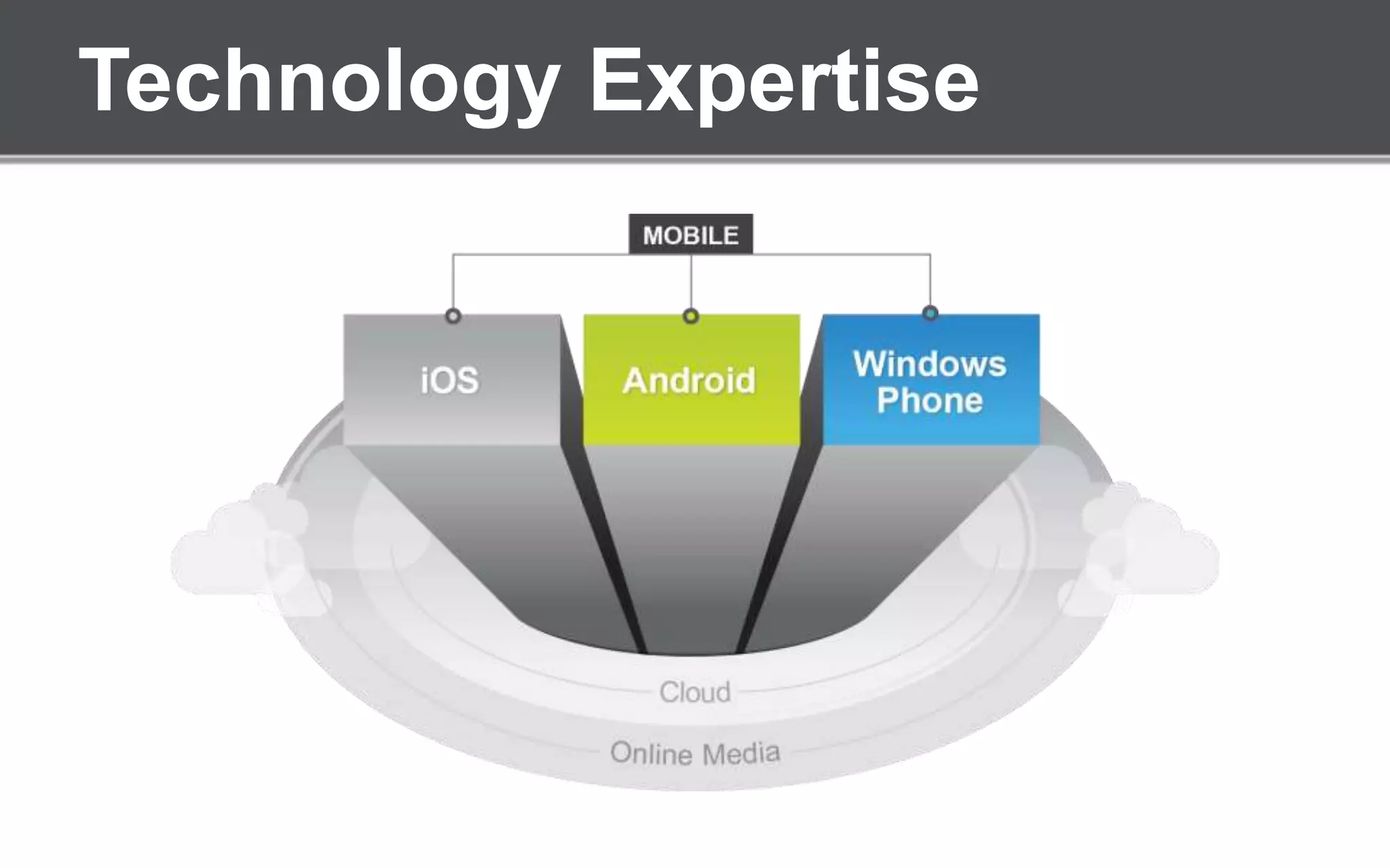 Technology Expertise
 