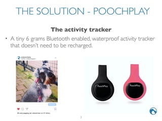 pooch play tracker