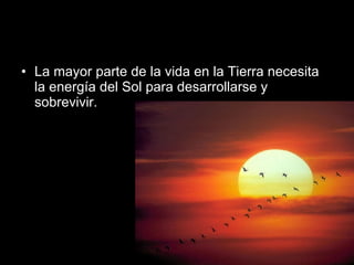 La mayor parte de la vida en la Tierra necesita la energía del Sol para desarrollarse y sobrevivir.  