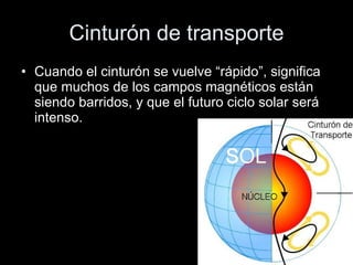 Cinturón de transporte Cuando el cinturón se vuelve “rápido”, significa que muchos de los campos magnéticos están siendo barridos, y que el futuro ciclo solar será intenso.  