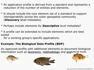 * An application profile is derived from a standard and represents a  reduction of the number of entities and elements. * It should include the core element set of a standard to support interoperability across the wider geospatial community  ( Discovery  level  metadata). * Perhaps include elements for  Descriptive  level metadata? * A profile can be extended to include elements which are best suited for a working group’s specific applications. Example:  The Biological Data Profile (BDP) An approved profile with additional elements to document biological information such as  taxonomy ,  methodology  and  analytical tools . http://www.flickr.com/photos/f10n4/186861991/ 