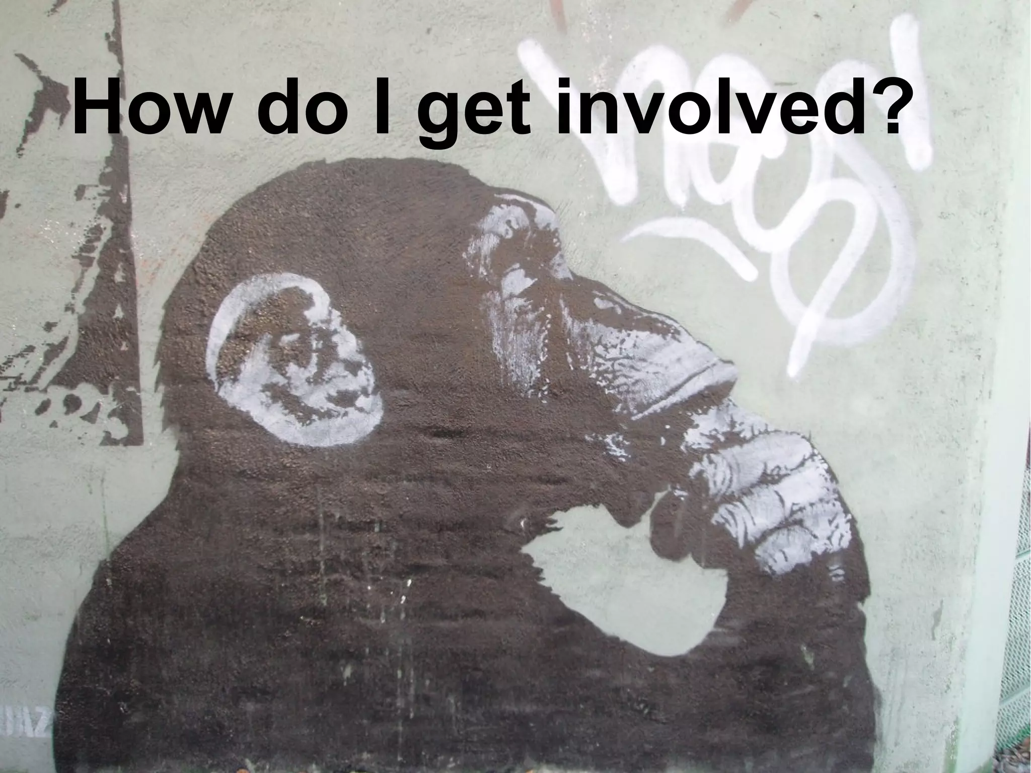 How do I get involved?