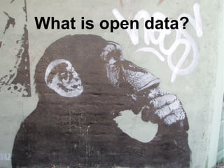What is open data?
 