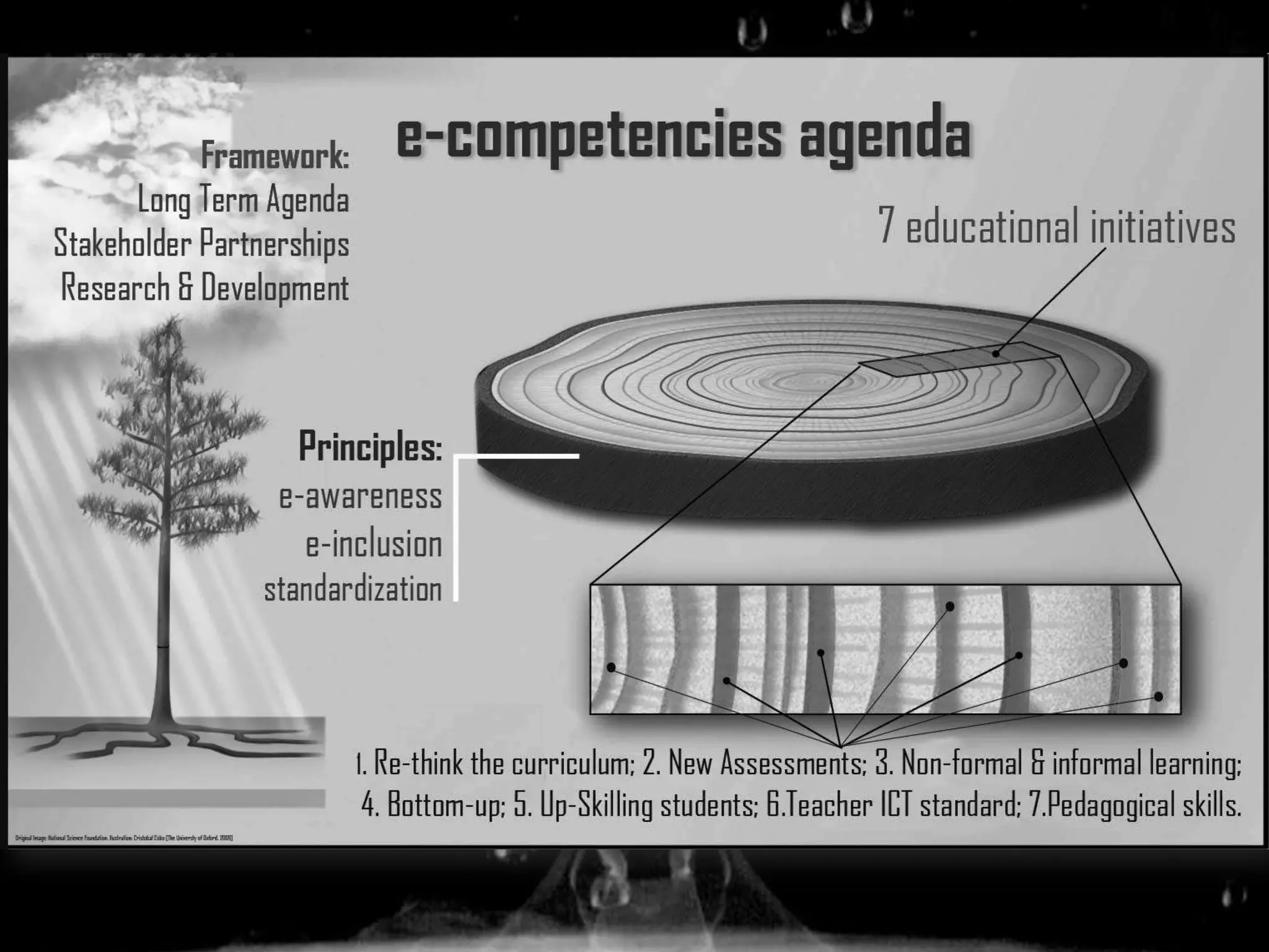 Strategies to promote the development of e-competencies