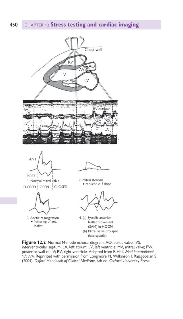 MWEBAZA VICTOR - Oxford American Handbook of Cardiology.pdf