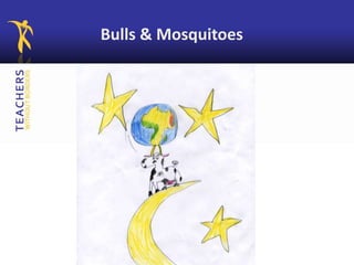 Bulls & Mosquitoes
 
