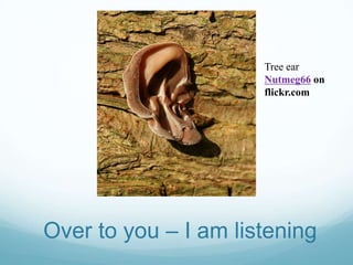 Tree ear
                      Nutmeg66 on
                      flickr.com




Over to you – I am listening
 