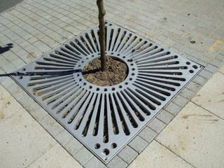 Oxford Brookes University