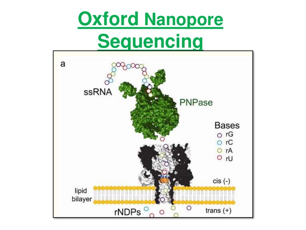 Oxford nanopore sequencing