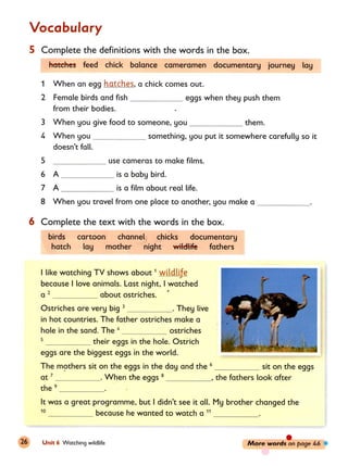 Oxford primary skills_4_-_book