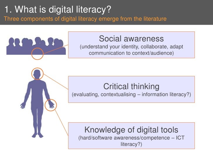 Digital Literacy literature review from terminology to action