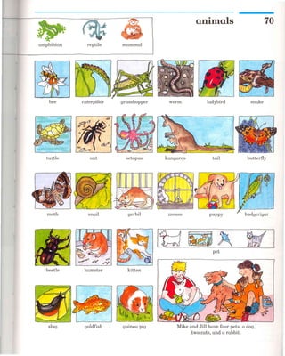 Oxford word magic book