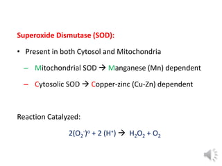 Oxidative stress and antioxidants | PPTX