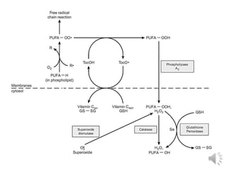 Oxidative stress and antioxidants | PPTX