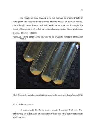 73
Em relação ao lodo, observou-se no lodo formado do efluente tratado no
reator piloto uma característica visualmente diferente do lodo do reator de bancada,
com coloração menos intensa, indicando possivelmente a melhor degradação dos
corantes. Esta afirmação só poderá ser confirmada com pesquisas futuras que incluam
avaliação dos lodos formados.
FIGURA 36 – LODO OBTIDO APÓS TRATAMENTO DE EFLUENTE VERMELHO EM REATOR
PILOTO
6.2.5 Síntese dos trabalhos e avaliação da remoção de cor através do coeficiente DFZ
6.2.5.1 Efluente amarelo
A caracterização do efluente amarelo através de espectro de absorção UV-
VIS mostrou que as bandas de absorção características para este efluente se encontram
a 349 e 413 nm.
 