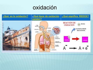 oxidación
¿Qué es la oxidación?   ¿Qué tipos de oxidación   ¿Qué significa REDOX?
                        existen?
 