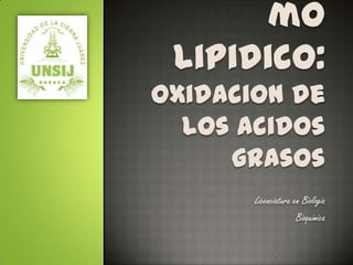 mo
lipidico:
Oxidacion de
los acidos
grasos
Licenciatura en Biología
Bioquímica

 