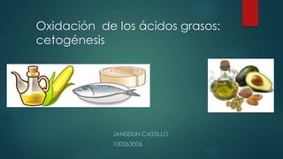 Oxidación de los ácidos grasos:
cetogénesis
JANSEILIN CASTILLO
100263006
 