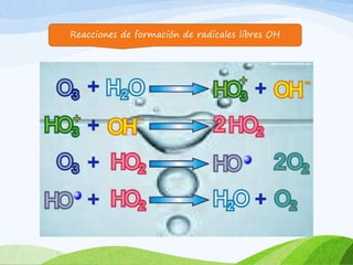 Reacciones de formación de radicales libres OH
 