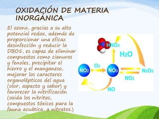 OXIDACIÓN DE MATERIA
INORGÁNICA
El ozono, gracias a su alto
potencial redox, además de
proporcionar una eficaz
desinfección y reducir la
DBO5, es capaz de eliminar
compuestos como cianuros
y fenoles, precipitar el
hierro y el manganeso,
mejorar los caracteres
organolépticos del agua
(olor, aspecto y sabor) y
favorecer la nitrificación
(oxida los nitritos,
compuestos tóxicos para la
fauna acuática, a nitratos.)
 