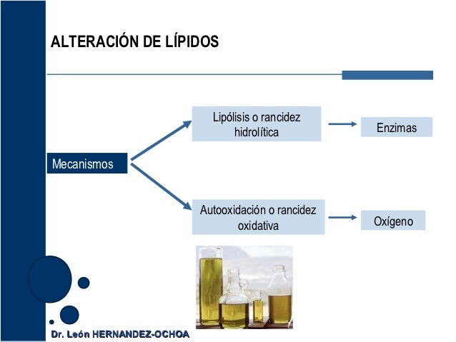 Necesario para bajar de peso como debo tomar el te verde rompa hervor Presin para bajar de peso como debo tomar el te verde radiacin emitida por