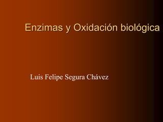 Enzimas y Oxidación biológica
Luis Felipe Segura Chávez
 
